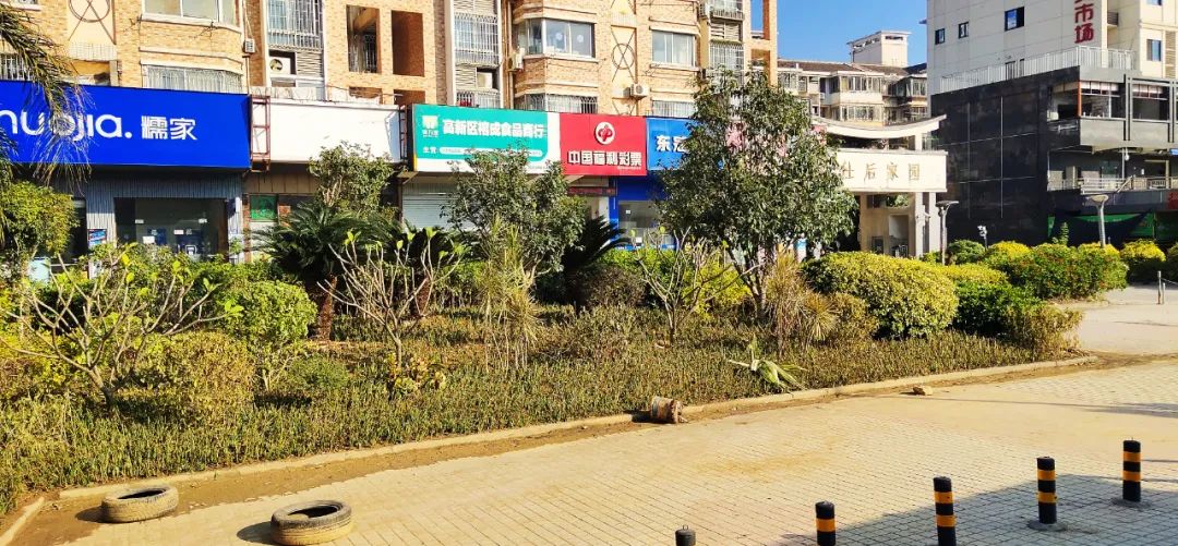 補坑還綠，福州高新區(qū)“顏值”提升在行動！