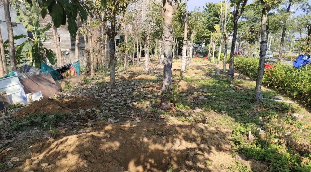 補坑還綠，福州高新區(qū)“顏值”提升在行動！