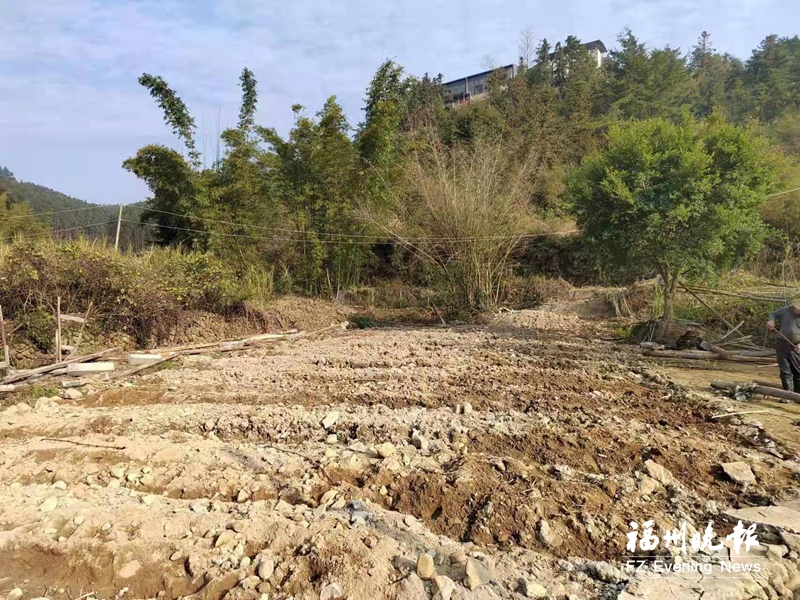 閩清白樟鎮(zhèn)拆除違建養(yǎng)牛場