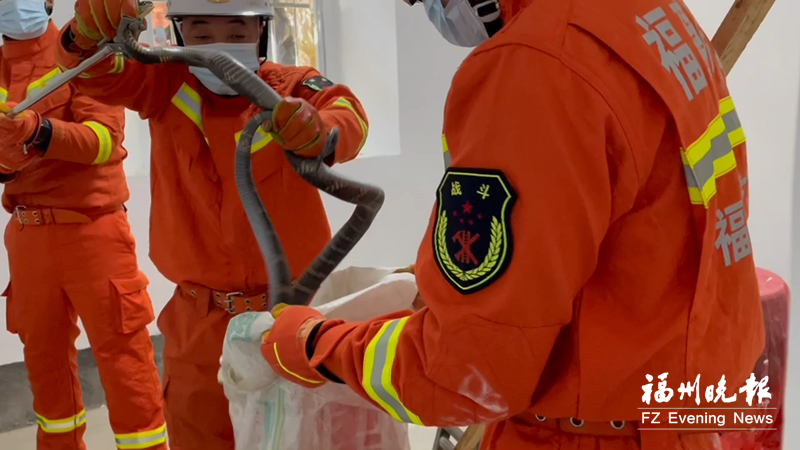 永泰村民家中現(xiàn)眼鏡王蛇 消防人員及時(shí)捕獲放生