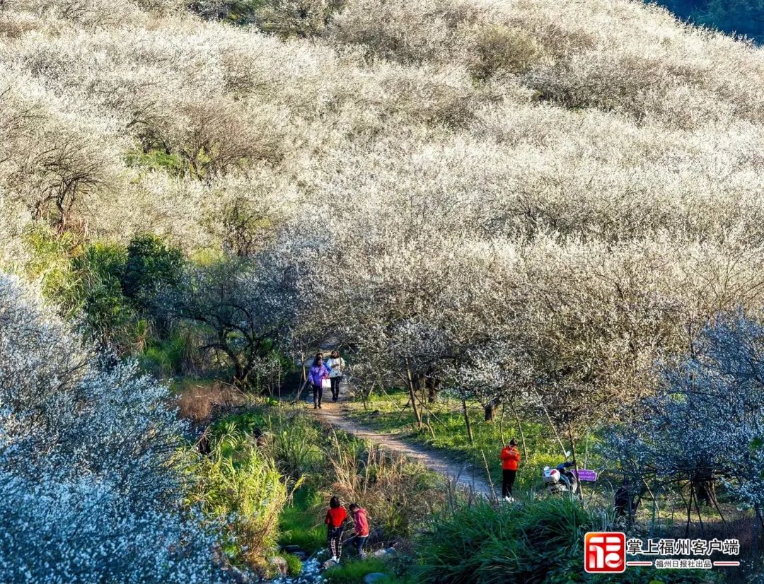 感恩奮進這一年：奮楫爭先的福州