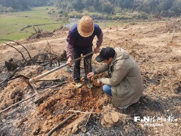 福州435多名林業(yè)干部赴一線植樹造林 福州435多名林業(yè)干部赴一線植樹造林