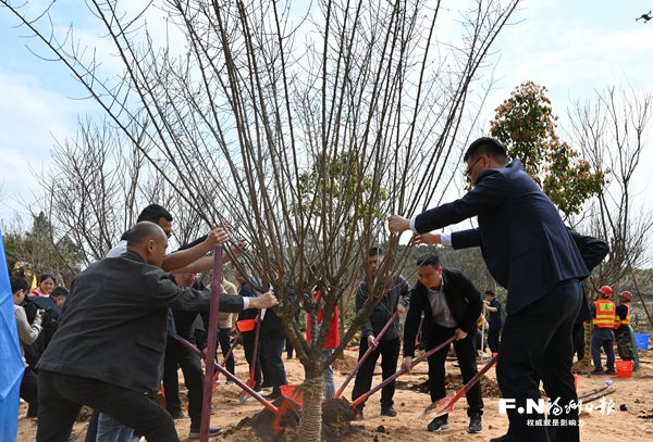 城投園林公司羅源綠化苗木基地開(kāi)業(yè)
