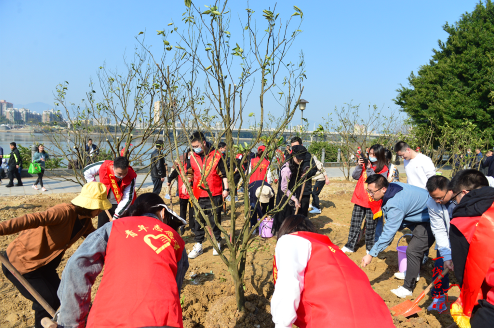 臺(tái)江：植綠正當(dāng)時(shí) 共建生態(tài)區(qū)