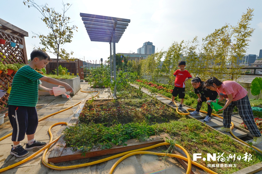 感恩奮進這一年丨福州聚力創(chuàng)造高品質(zhì)生活