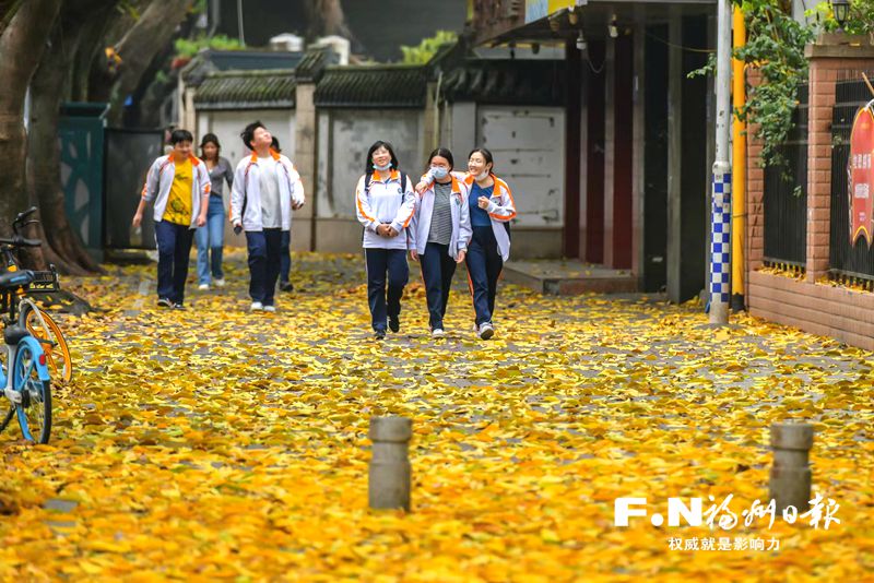 “碧云天黃葉地”為何春日出現(xiàn)？業(yè)內(nèi)人士：南方常綠樹恰好此時(shí)換葉
