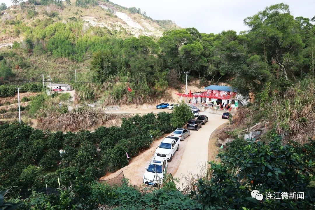 搶“鮮”上市！連江上百畝果園開摘！