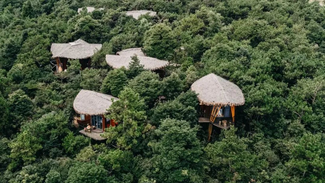 新晉網(wǎng)紅打卡地！福州鼓嶺柱里露營(yíng)地“火”上央視