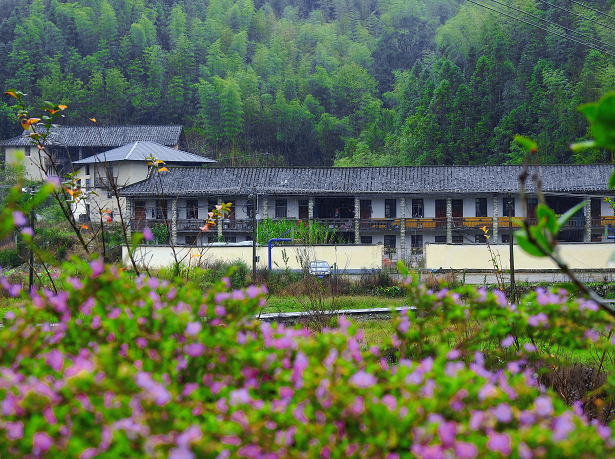 閩清東洋村：煙雨中的山水畫卷