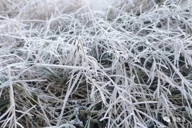 冷！連江霜凍景觀來襲！