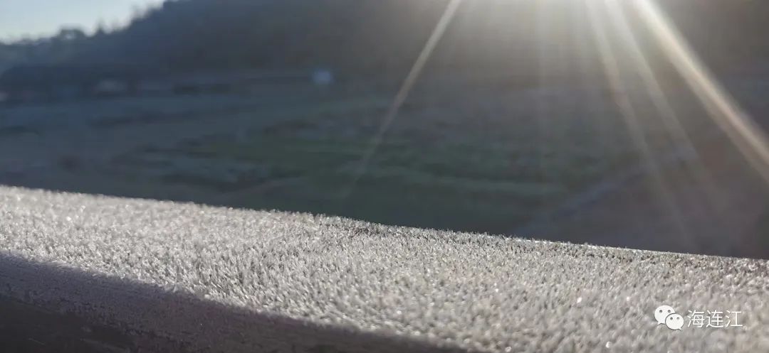 冷！連江霜凍景觀來襲！