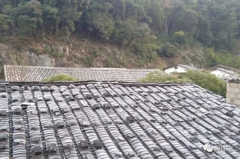 冷！連江霜凍景觀來襲！